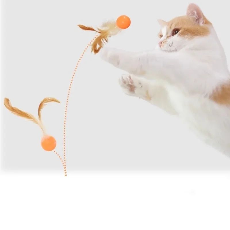 Interactive Elastic Ball Cat Toy With Feather 5