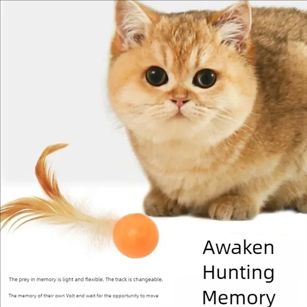 Interactive Elastic Ball Cat Toy With Feather 6