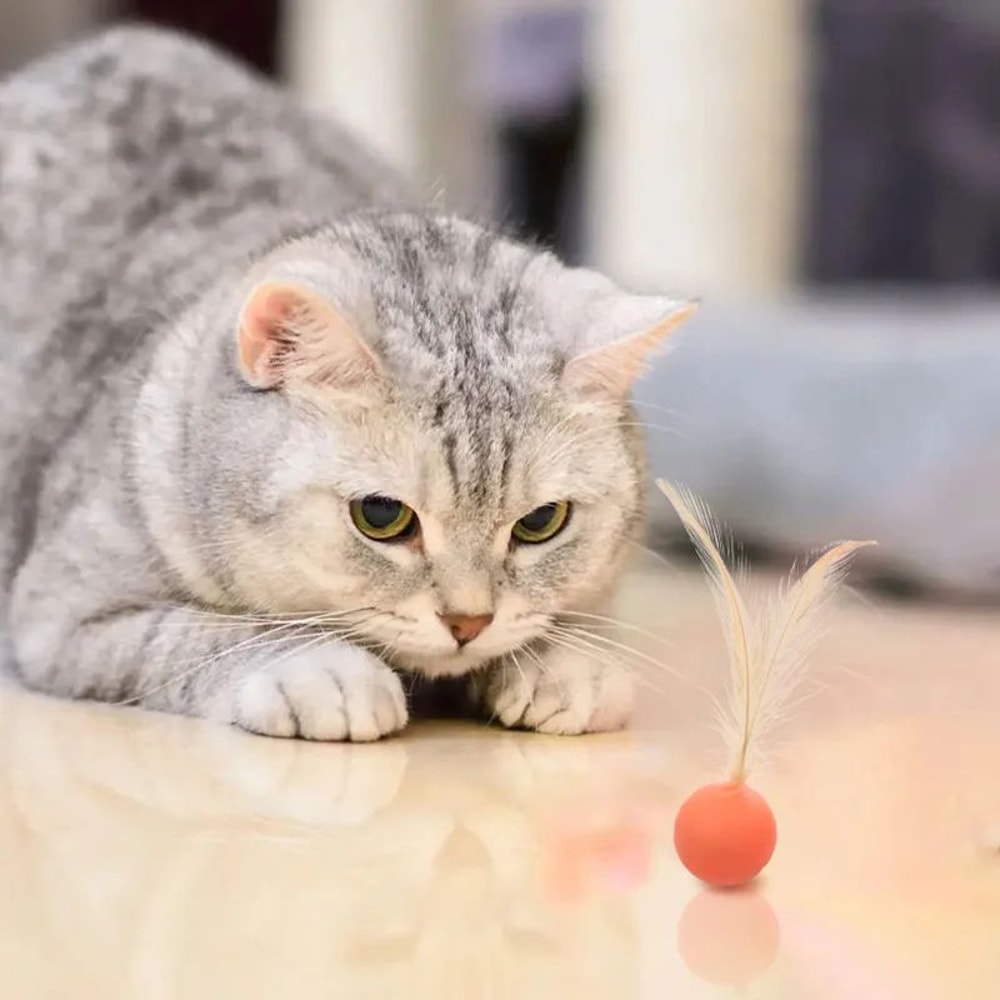 Interactive Elastic Ball Cat Toy With Feather 7