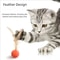 Interactive Elastic Ball Cat Toy With Feather 8