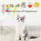 Interactive Hanging Cat Toy With Feather Teaser And Elastic Rope 3