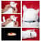 Reflective Breakaway Cat Collar With Bell And ID Ring 5