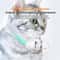 Rechargeable Automatic Laser Cat Collar Interactive Toy 4