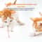 Smart Rechargeable Laser Cat Collar Interactive Pet Toy 10