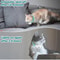 Smart Rechargeable Laser Cat Collar Interactive Pet Toy 11