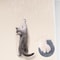 Self Adhesive Cat Scratching Wall Protector Mat 4