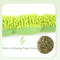 Catnip Caterpillar Plush Cat Toy For Teeth Cleaning 5