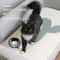 Self Adhesive Cat Scratch Board Sofa And Wall Protector 2
