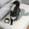 Self Adhesive Cat Scratch Board Sofa And Wall Protector 2