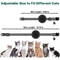 Reflective Airtag Cat Collar With Bell And Breakaway Buckle 1