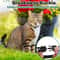 Reflective Airtag Cat Collar With Bell And Breakaway Buckle 2