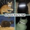 Reflective Airtag Cat Collar With Bell And Breakaway Buckle 7