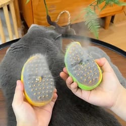 3 in 1 steam pet grooming brush with spray and massage