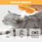 3 In 1 Steam Pet Grooming Brush With Spray And Massage 8