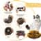 Magic Organ Cat Scratching Board Interactive Claw Grinding Toy 4