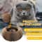 Magic Organ Cat Scratching Board Interactive Claw Grinding Toy 6