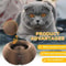 Magic Organ Cat Scratching Board Interactive Claw Grinding Toy 6