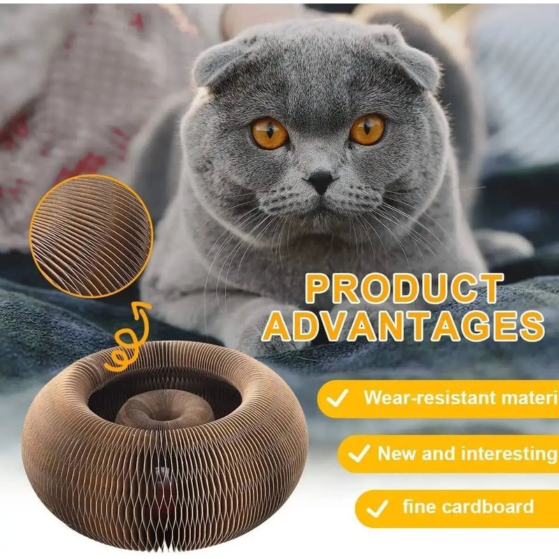 Magic Organ Cat Scratching Board Interactive Claw Grinding Toy 6