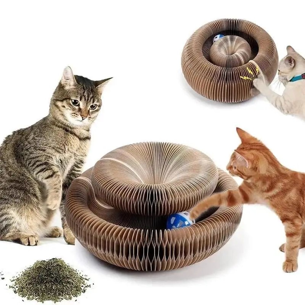 Magic Organ Cat Scratching Board Interactive Claw Grinding Toy 8