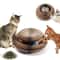 Magic Organ Cat Scratching Board Interactive Claw Grinding Toy 8