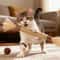 Cat Mint Teeth Cleaning Chew Stick Interactive Toy 8