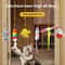Interactive Hanging Feather Cat Teaser Toy 0