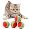 Rainbow EVA Interactive Pet Play Ball 1