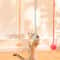 Suction Cup Spring Bunny Ball Cat Toy 1