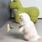 Capybara Bird Teaser Wand Cat Toy 3