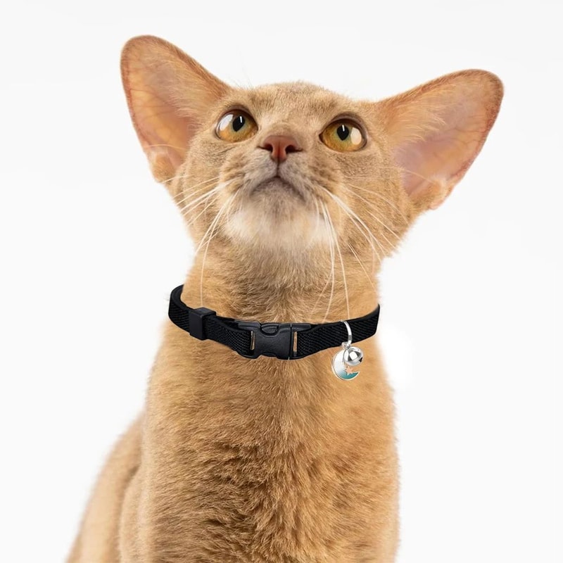 Lightweight Stretch Safety Cat Collar 4