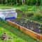 Garden Cat And Dog Deterrent Spike Mat 6