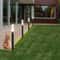 Garden Cat And Dog Deterrent Spike Mat 11