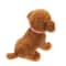 15 Piece Adjustable Puppy Identification Collar Set 10
