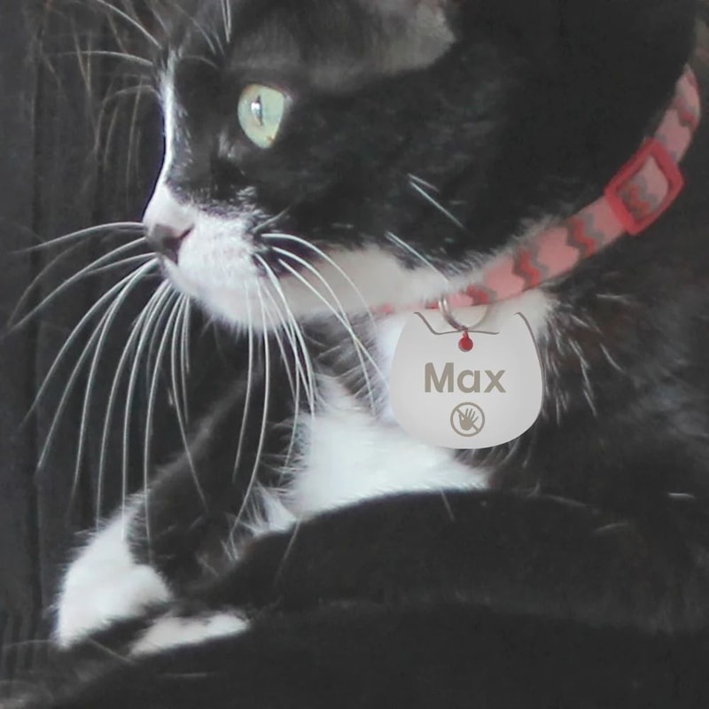 Personalized Stainless Steel Pet ID Tag With Engraving 5