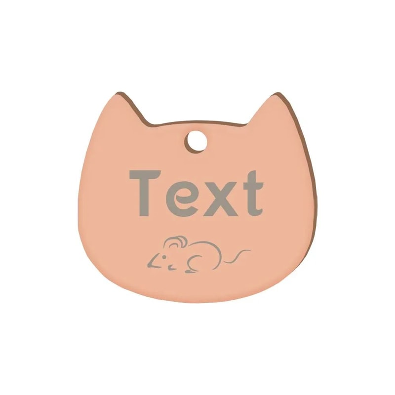 Personalized Stainless Steel Pet ID Tag With Engraving 24