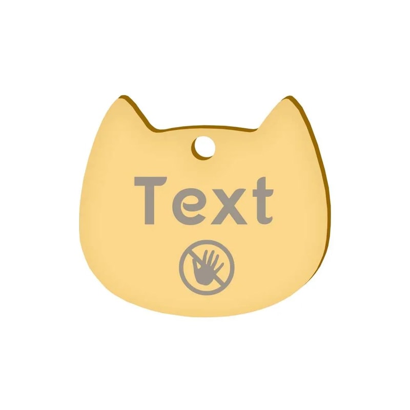 Personalized Stainless Steel Pet ID Tag With Engraving 12