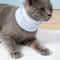 Waterproof Cat Recovery Neck Brace Collar 1