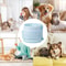 Waterproof Cat Recovery Neck Brace Collar 8