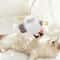 USB Rechargeable Chirping Bird Interactive Cat Toy 4