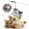 USB Rechargeable Chirping Bird Interactive Cat Toy 7