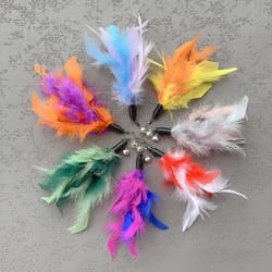 feather cat teaser replacement toy set