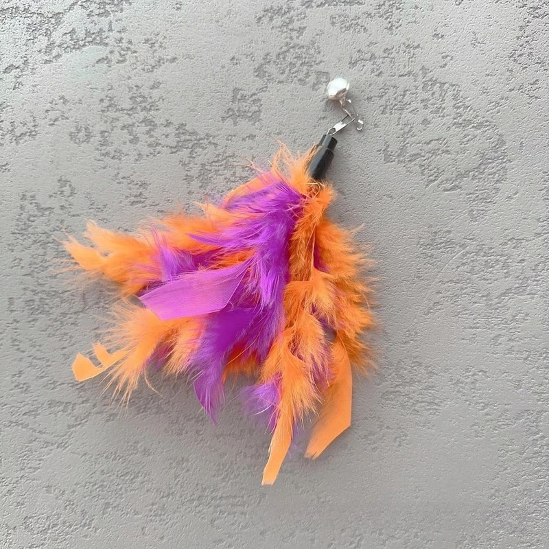 Feather Cat Teaser Replacement Toy Set 1