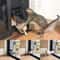 Magnetic Lockable Pet Screen Door 3