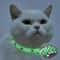 Glow In The Dark Paw Print Cat Collar 0