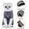 Soft Cotton Cat Recovery Suit 3