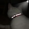Personalized Reflective Cat Collar With Engraved ID Tag 4