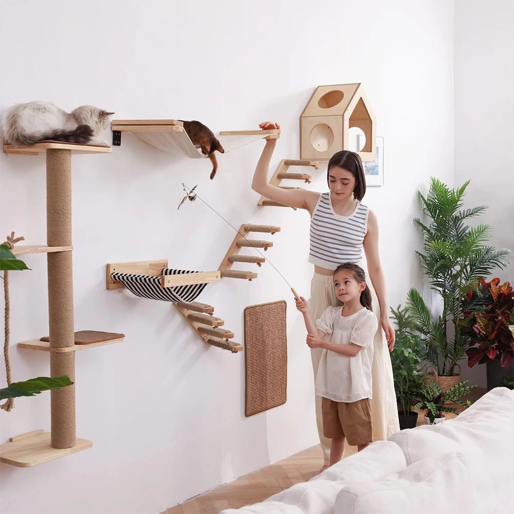 Modern Cat Wall Climbing Shelf And Activity Set 2