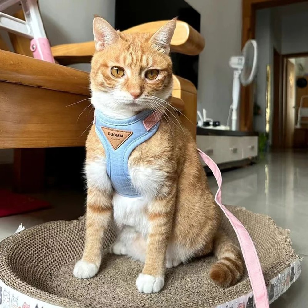 Adjustable Soft Cat Harness And Leash Set 1
