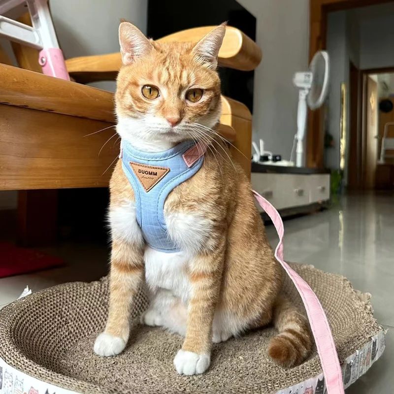 Adjustable Soft Cat Harness And Leash Set 1