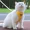 Adjustable Soft Cat Harness And Leash Set 2
